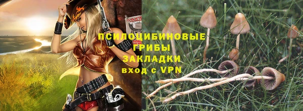 герыч Алексин