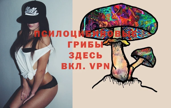 герыч Алексин