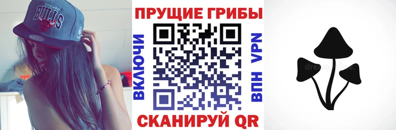 наркошоп  Гуково  Галлюциногенные грибы Magic Shrooms 